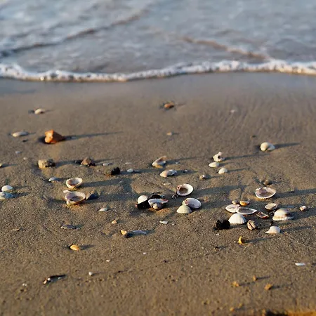 Enjoy Your Only 100m From The Sea - Beahost Apartmán Bibione
